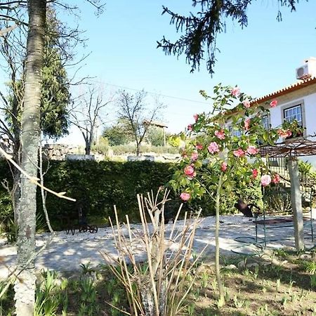 Quinta De Vila Verde- Paixao Ancestral, Turismo Rural Marco de Canavezes Eksteriør bilde